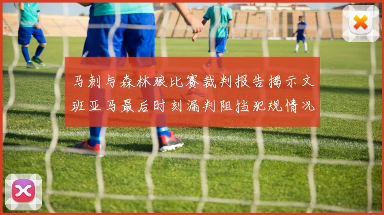 马刺与森林狼比赛裁判报告揭示文班亚马最后时刻漏判阻挡犯规情况