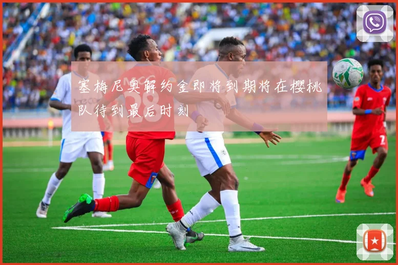 塞梅尼奥解约金即将到期将在樱桃队待到最后时刻