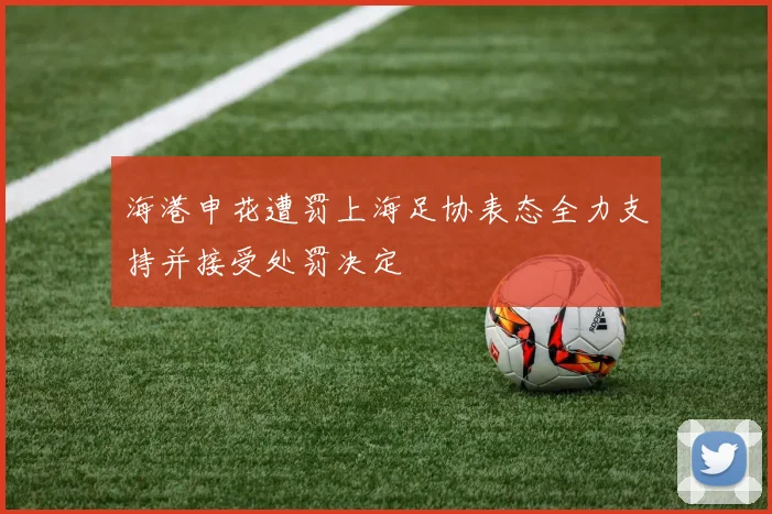 海港申花遭罚上海足协表态全力支持并接受处罚决定